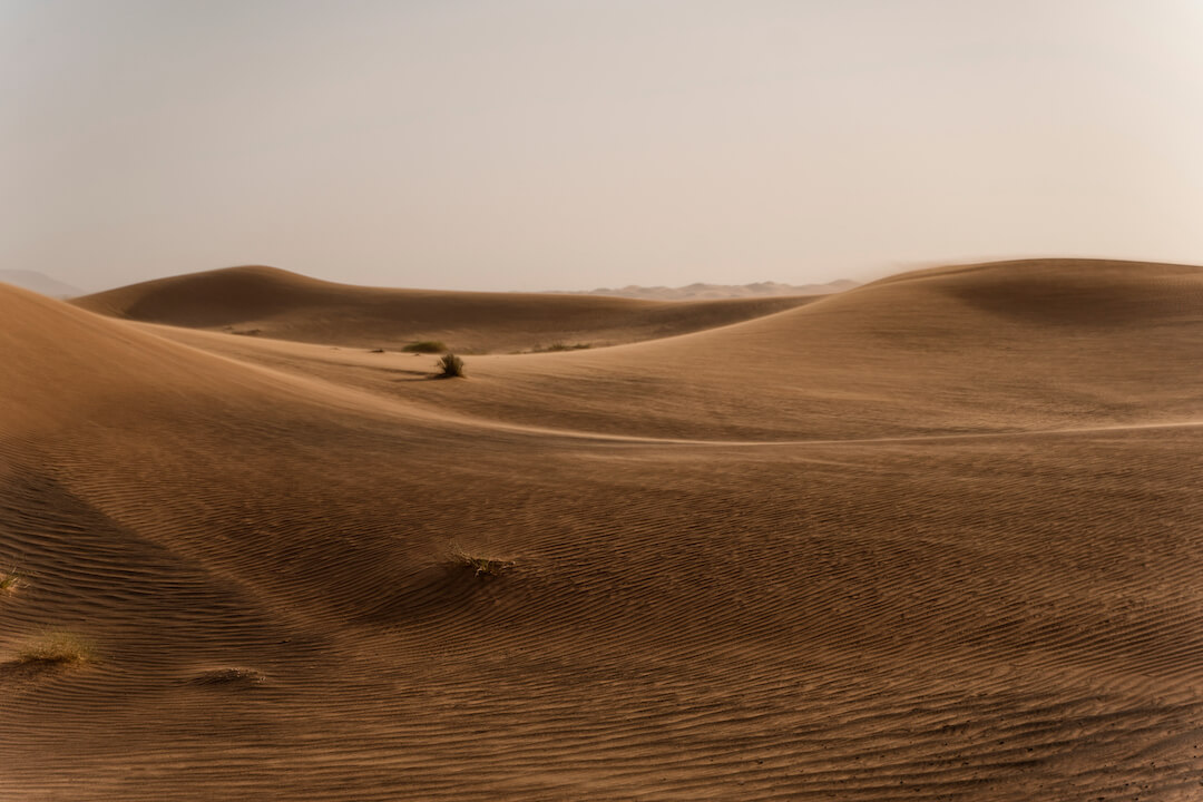 foto de un desierto amarranoado con el cielo brumoso