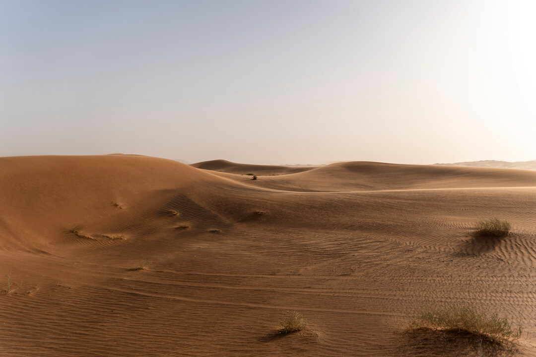 foto de un desierto al alba