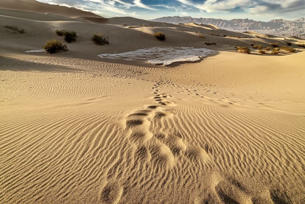 foto de un desierto con huellas de pasos.