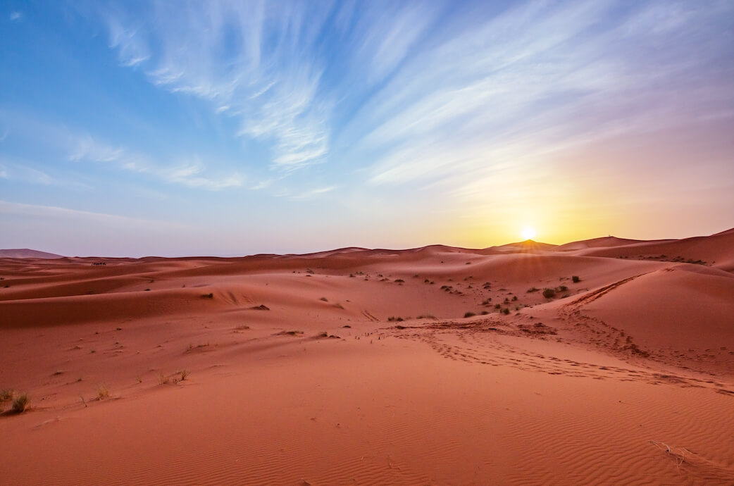foto de un desierto de arenas rojizas, con muchos caminos de pasos en diferentes direcciones, el sol amaneciendo en un cielo azul con algunas nubes semitransparentes