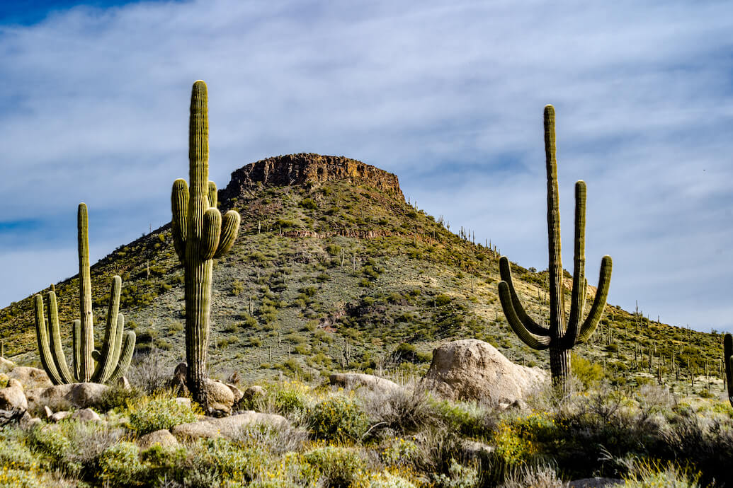 foto de una montoña rocosa del desierto, y tres cactus